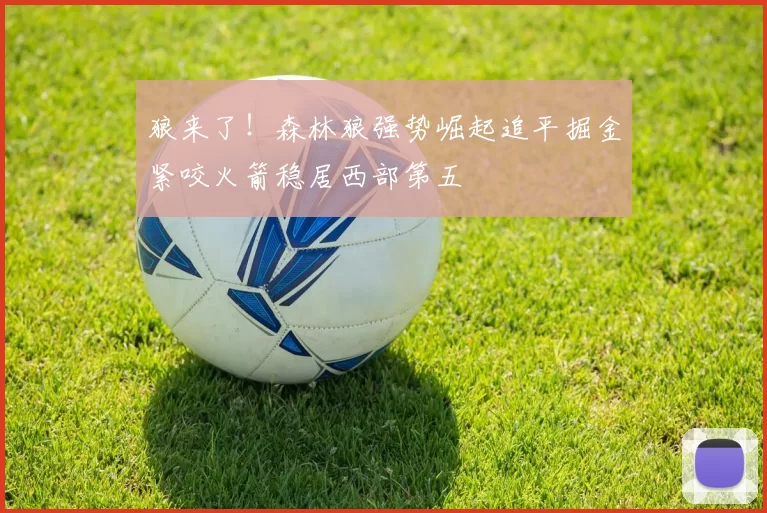 狼来了！森林狼强势崛起追平掘金紧咬火箭稳居西部第五